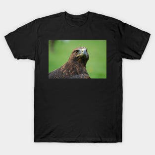 Steppe Eagle T-Shirt